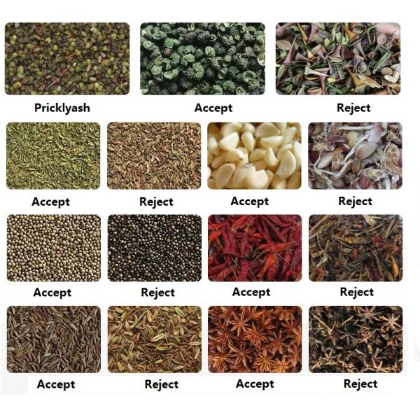 2.4KW Discolored Material Selection Machine 1Ton 2Ton 3Ton Per Hour