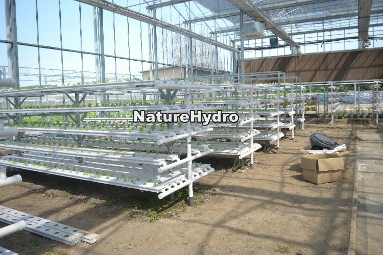 Hydroponic Nft Grow System