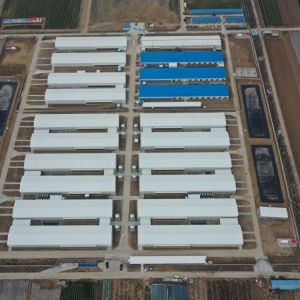 Prefab Poultry House