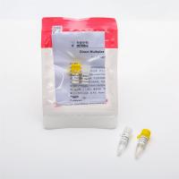 P2801-2 Mélange réactif PCR en temps réel Probe multiplex directe Mélange QPCR plus U avec l'enzyme Udg P2802 5 ml