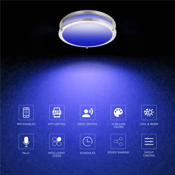 RGBCW LED Flush Mount Light Double Ring Brushed Nickel 16''