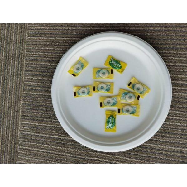 10 Inch Round Compostable Bagasse Disposable Plates