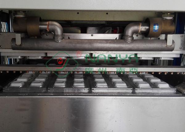 CE Pulp Molding Equipment for Disposable Sugarcane Bagasse Fiber Tableware