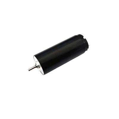 Customizable Brushed DC Motor With Coreless Winding 13mm 1.32mNm 8400rpm 15V