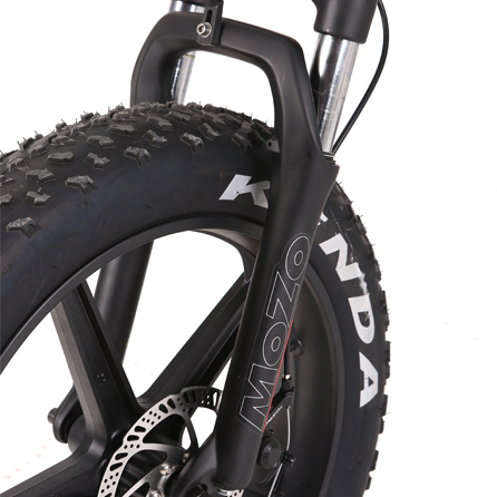 20-Inch*4.0 Foldable Fat Tire E-Bike with 48V 750W Electric Motor and End Folding Design