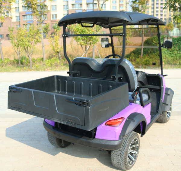 EV Golf Cart Electric 2 Seater with 48V Battery System Lead Acid or Lithium Options Durable Steel Frame and Comfortable Seating