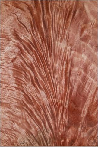 Okoume Crotch Veneer Okoume Crotch Wood Veneer for Furniture Doors Cabinetry & Veneered Plywood