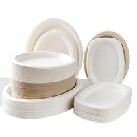 Le rond jetable de fibre de canne à sucre de plats de bagasse naturelle plaquent 6 7 8 9 10 pouces