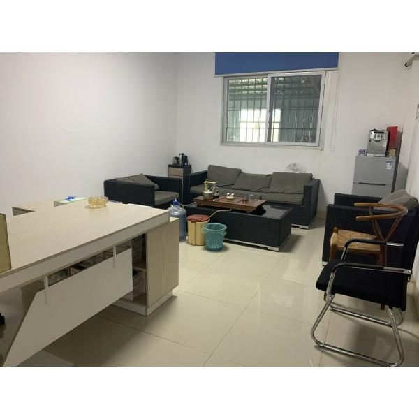 Medical Examination Gloves Food Grade Powder Free Disposable