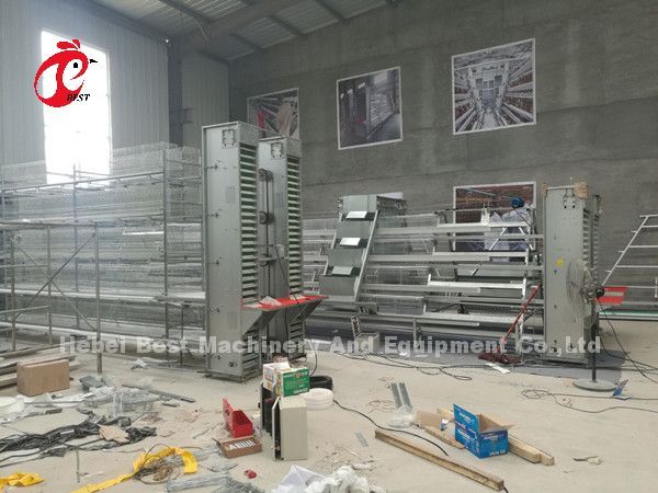 Cage de capas de aves de corral galvanizadas calientes y profundas para 20.000 aves