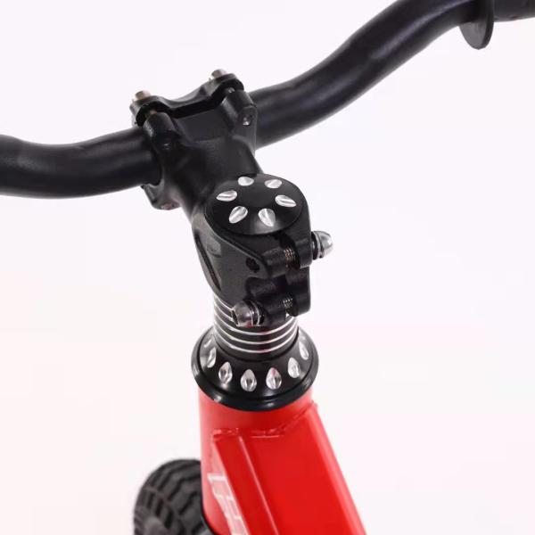 OEM 12-дюймовые детские велосипеды с непедальными колесами