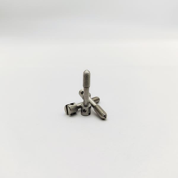304 Stainless Steel Slotted Lead Sealing Screws M4 M5 M6 for Electric Meters