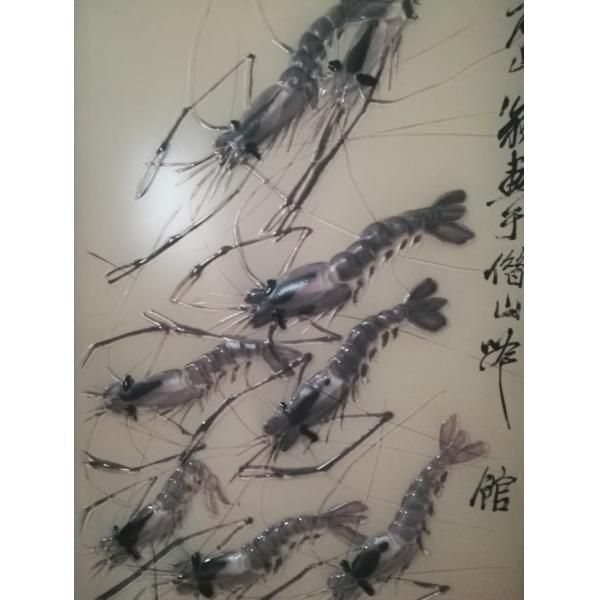 8mm  Decorative Fused Glass