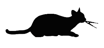 Handheld Blood Oxygen Animal Pulse Oximeter With High Precision Clip And 3.5 Inch LCD Display