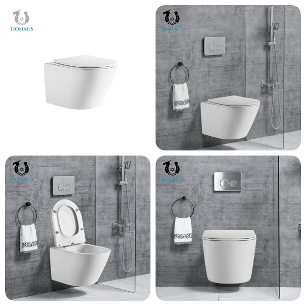 Customized Rimless Bathroom Toilet Bowl Washdown Wall Mounted Commode