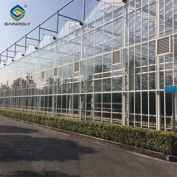 Agricultura Invernadero de tipo Venlo de policarbonato para la plantación de tomates