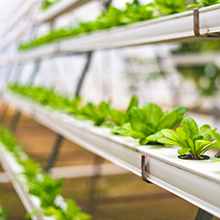 аэратор пруда барботера пневматического насоса аквариума 5W 1780GPH коммерчески