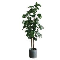 Decoração artificial nórdica do assoalho da sala de visitas da casa da árvore do ficus do dinheiro dos bonsais