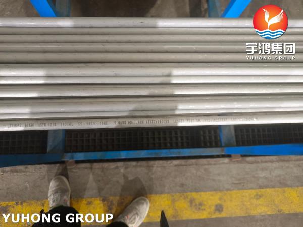 ASTM A213 TP316L ステンレス鋼のシームレス熱交換器束管