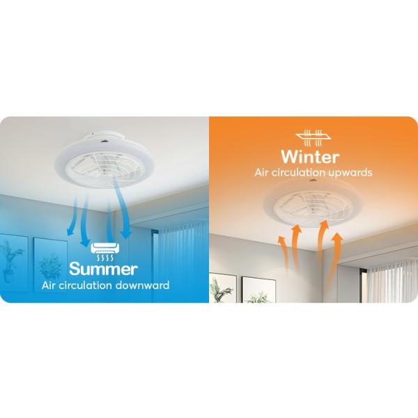 Material do corpo metálico 20 