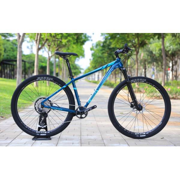 29er скоростной горный велосипед с пользовательским каркасом из углеродного волокна и коляской TEN-M601