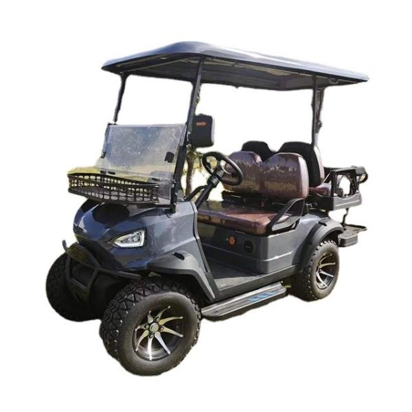 Lake Horse Golf Cart Tire Electric Car Golf Buggy Mini with 7-9h Charge Time