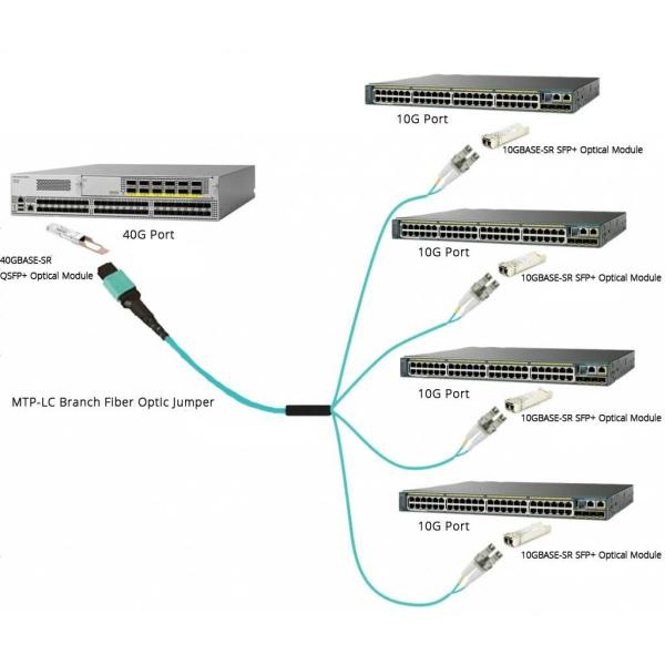 OM4 MPO MTP Fiber Patch Cord LC SC Connector 8 12 24 Ядро Розовый Фиолетовый LSZH