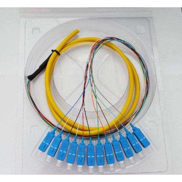 12 Cores Fan Out Fiber Optic Pigtail Waterproof , SC PC Pigtail For Couples