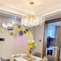 G9 Crystal Chandelier For Living Room nordique dendritique