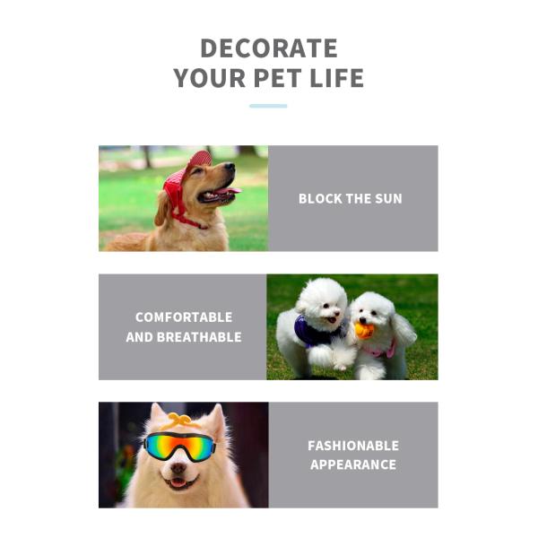 Material de gafas para perros Pequeñas mascotas medianas Protección UV Resistencia al viento y la arena