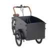 New 250W 25km/H Entry-Level Heavy-Duty Reliable Durable Steel Frame Cargo Bike Starter