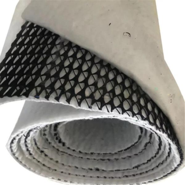 Length 50m Geocomposite Drainage Sheet 3d Composite Drainage Net 3d Geonet for T/T Payment