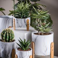 Plantadores Tabletop do cacto dos plantadores dos plantadores de Mini Succulents Plant Pots Round dos potenciômetros de flor do cimento