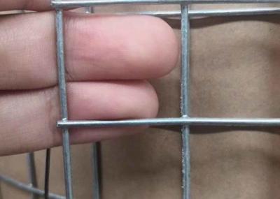 SS304 soldou o fio Mesh Fence