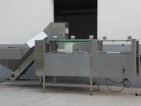 Descrambler automatique de la bouteille 2kw d'acier inoxydable de machine d'Machine de traitement des bouteilles de la bouteille 220v