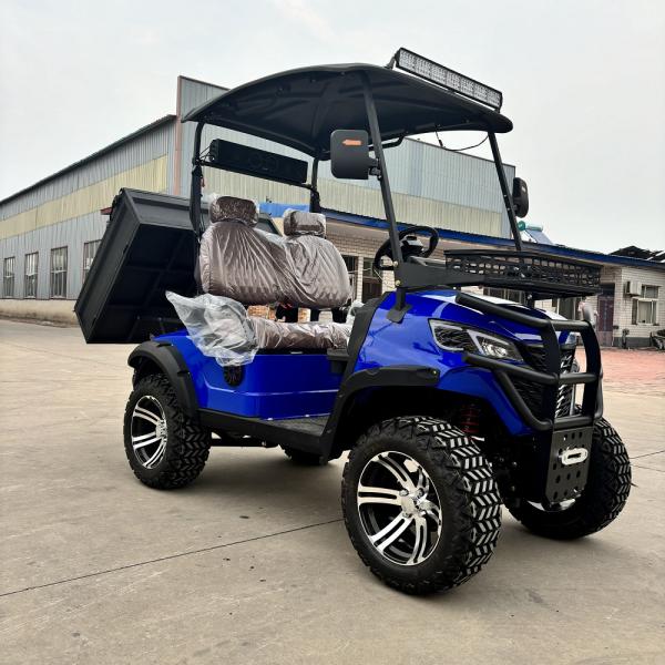 Chariot de golf électrique à deux places bleu saphir avec seau inclinable haute puissance de cheval couleur et logo personnalisables