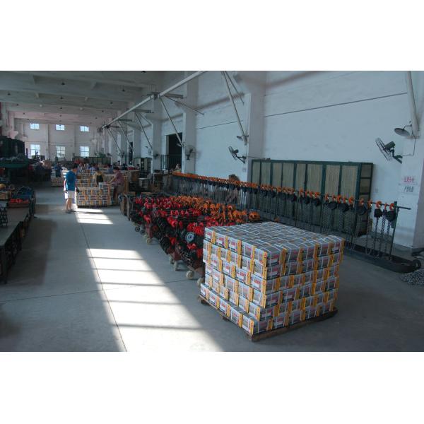 OEM рука 0,25 тонн 250 Kg привелся в действие мини таль с цепью рычага