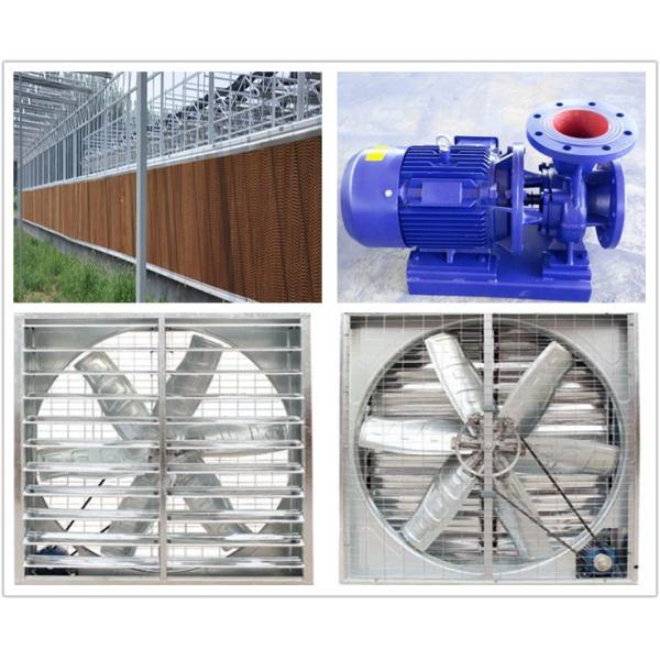 Modern Venlo Greenhouse Farming Commercial Glass Greenhouse With Steel Frame