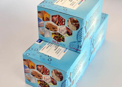 Human Serum ELISA Assay 25- Hydroxyl Vitamin D Test Kit