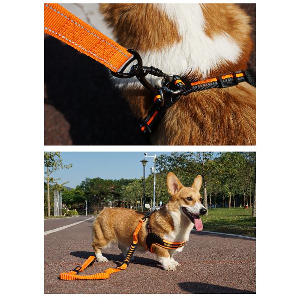 4 Foot Dog Lead Black Dog Leash With Buckle Handle 4 Ft Dog Leash