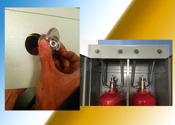 Red 100L Hfc227ea FM200 Cabinet System Factory Direct Quality Assurance Best Price