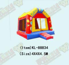 Large Entrance Inflatable Castles With Two Transparent Windows