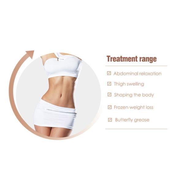 Professional Cryolipolysis Fat Freezing Machine Continuous Contact Cooling Beauty Machine