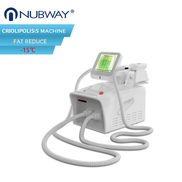 2018 New arrival provide ODM/OEM cryo / cryolipolysis slim machine for salon use