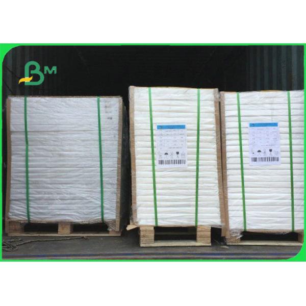 o PE à prova de graxa de 40gsm 60gsm revestiu o rolo de papel para o empacotamento de alimento