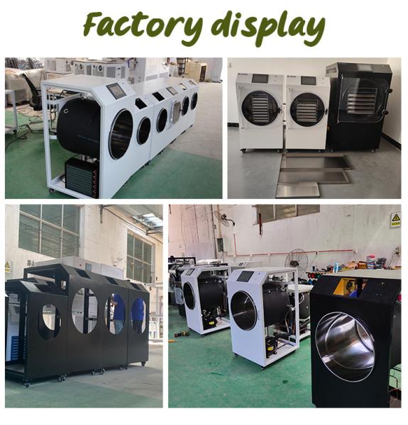 Home Freeze Dry Machine Multi-Function Design Ice-Cream Milk Coffee Freeze Dryer