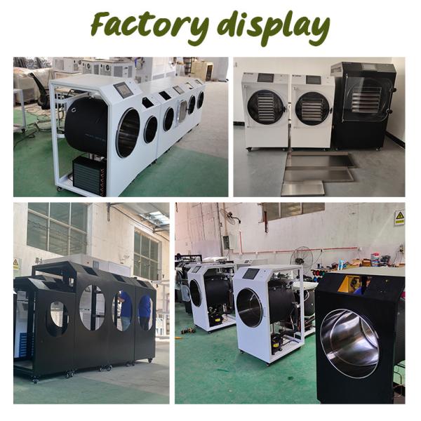 Automatic Small Home Freeze Dryer Machine for Fruit Food Meat Vegetable with Vacuum Pump