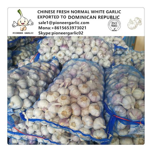 2018 crop farmer lowest garlic price in China Super White Garlic, Snow White Garlic