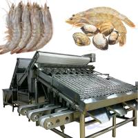 Máquina de triagem de camarão para limpeza e processamento de escamas de peixe