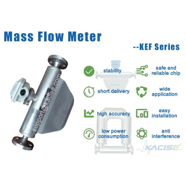 Высокий измеритель прокачки Кориолис стабильности, измеритель прокачки качества еды жидкостный массовый